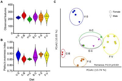 Conserved core microbiota in managed and free-ranging Loxodonta africana elephants